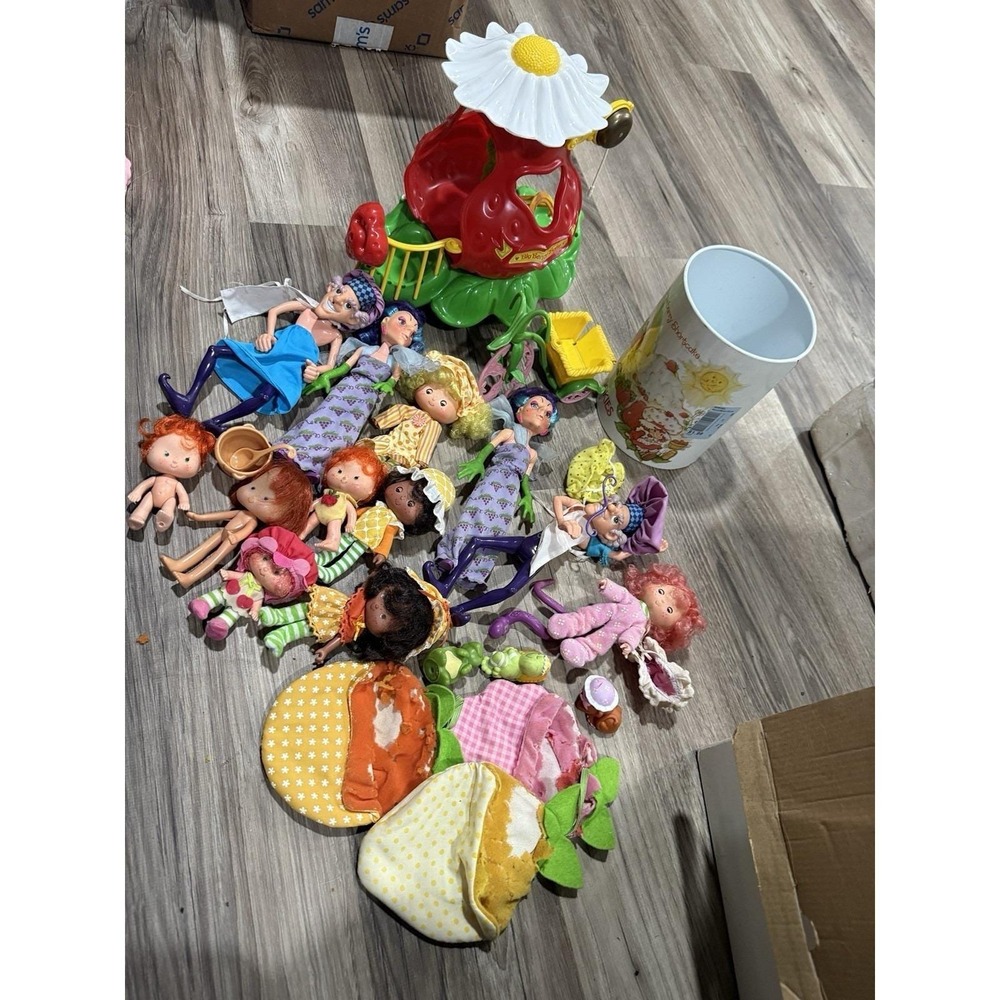Vintage Strawberry Shortcake Dolls Accessories Lot